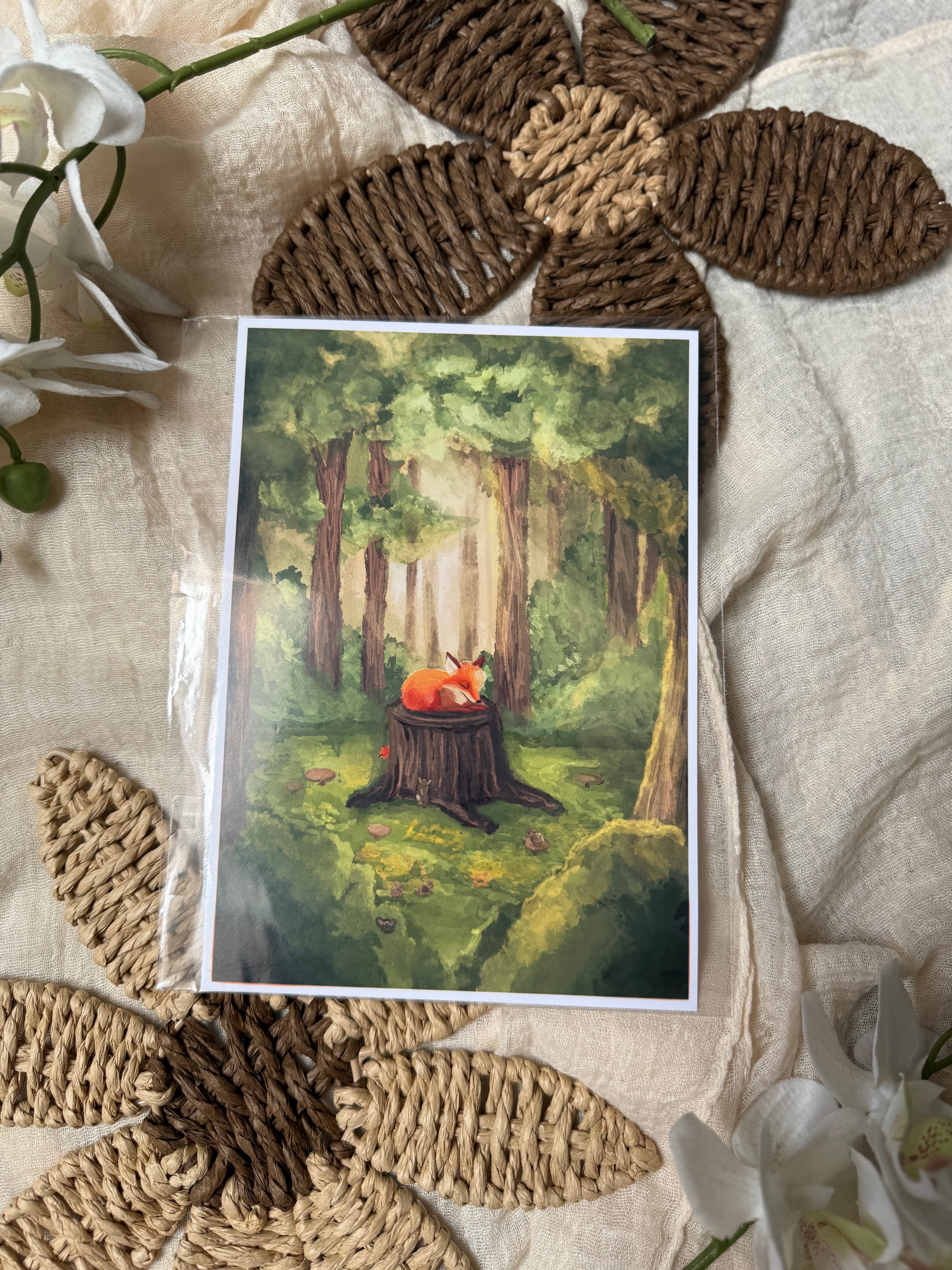 Slapende vos print