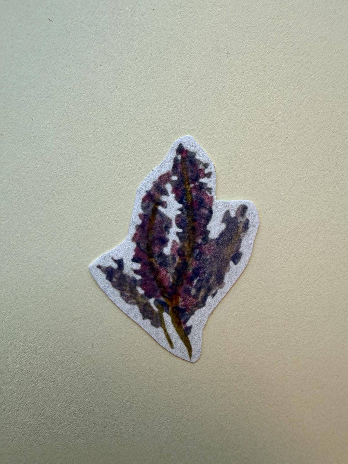 Lavendel sticker