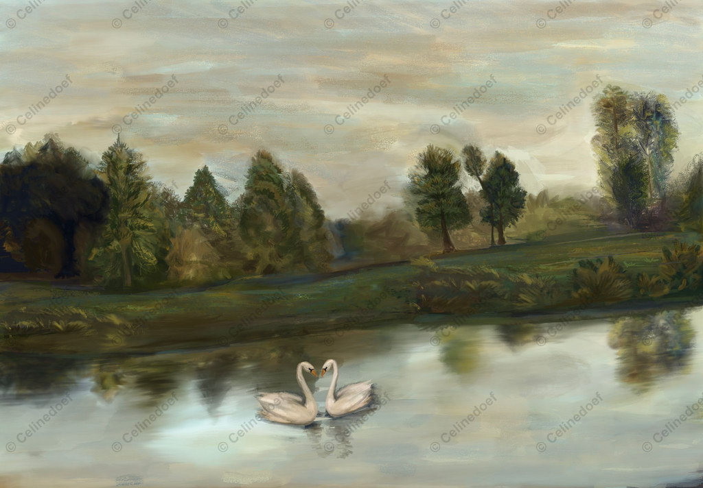 Zwanenmeer print